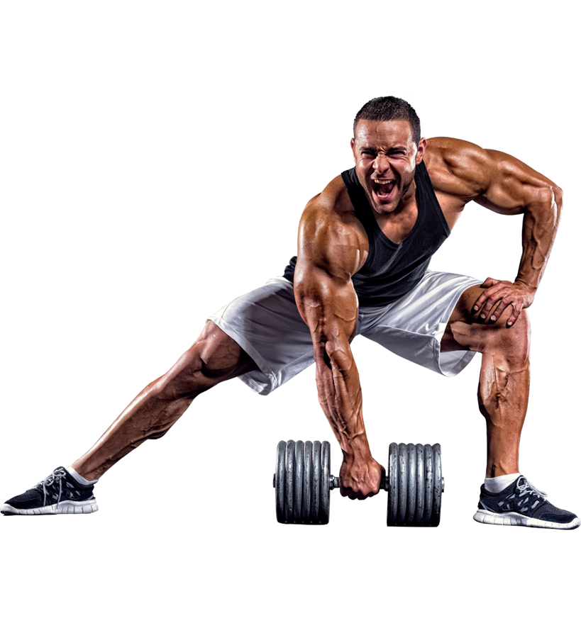 Gymtech Solutions - Fitness Equipment